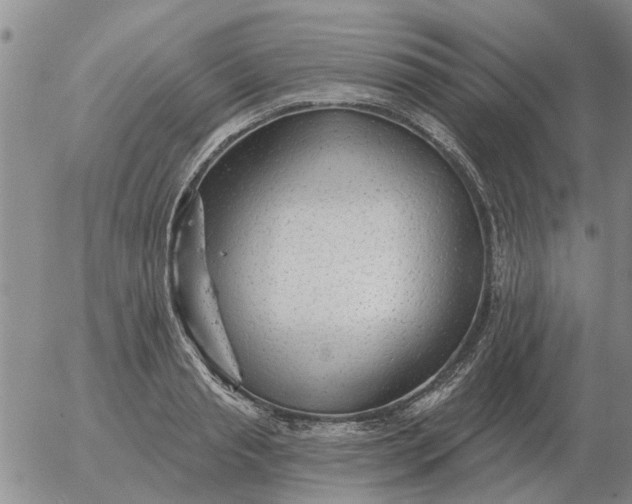 X0000055520845200509022122