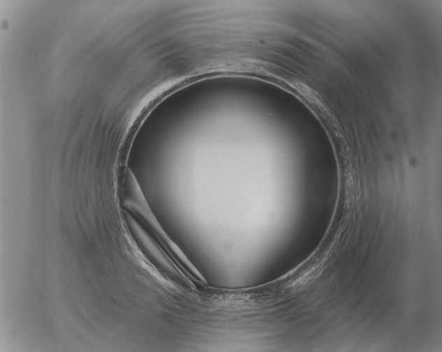 X0000055520846200509022122