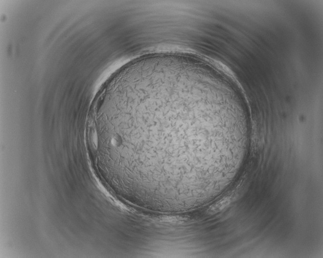 X0000055520847200509022122