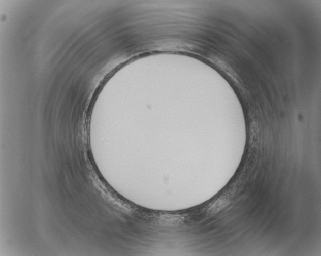 X0000055520848200509022122