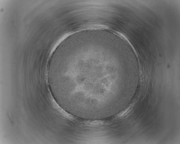 X0000055520851200509022122