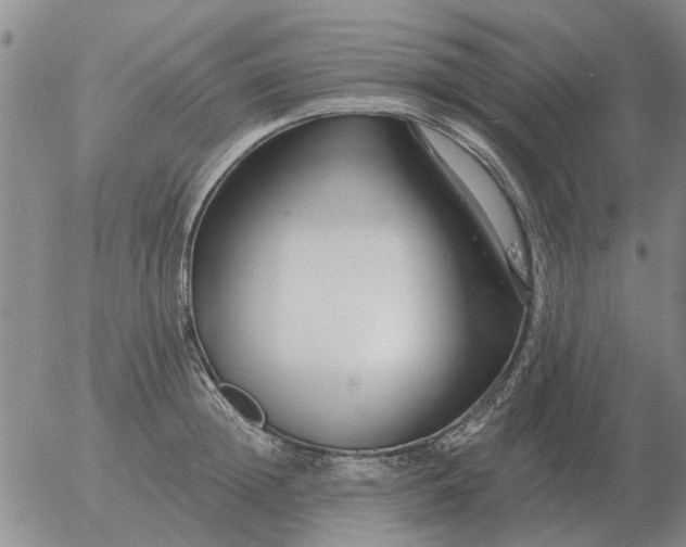 X0000055520852200509022122