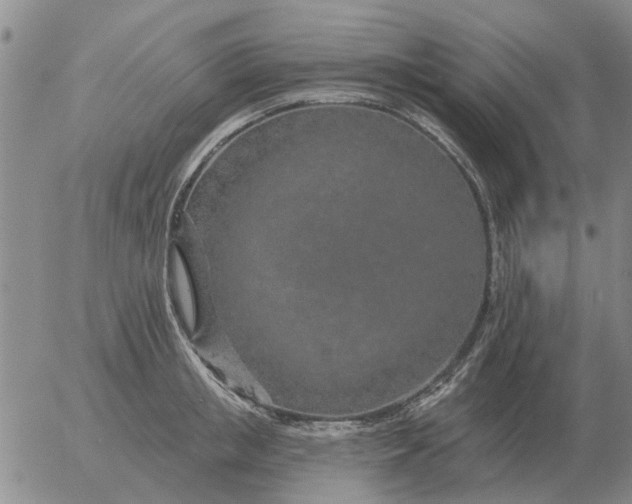 X0000055520853200509022122