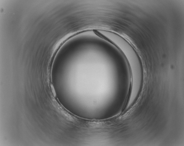 X0000055520854200509022122