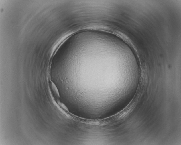 X0000055520855200509022122