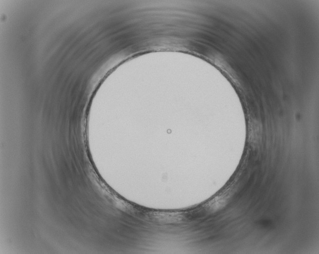 X0000055520856200509022122