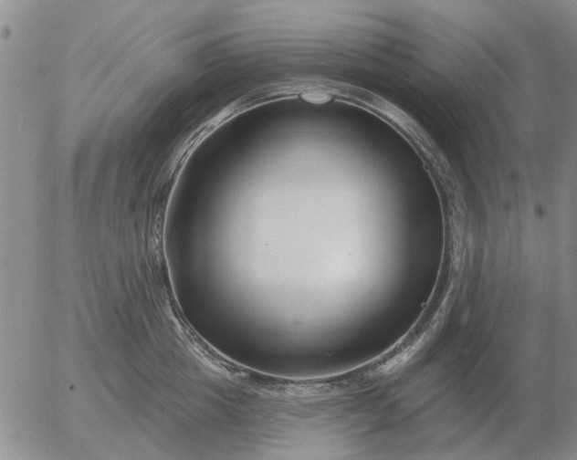 X0000055520857200509022122