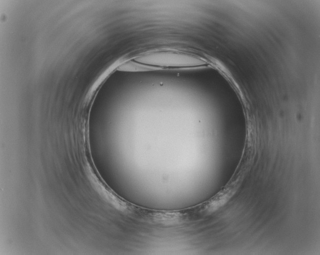 X0000055520859200509022122