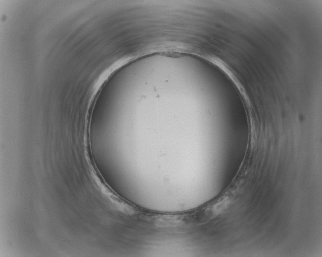 X0000055520861200509022122