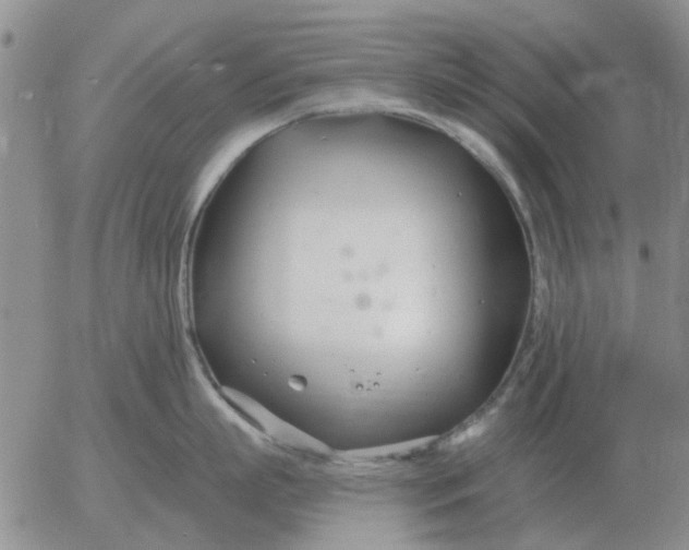 X0000055520863200509022122