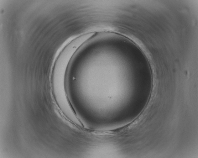 X0000055520864200509022122