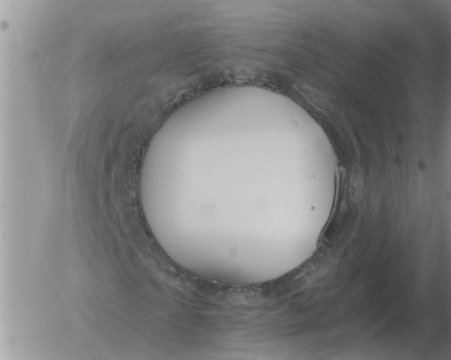 X0000055520865200509022121