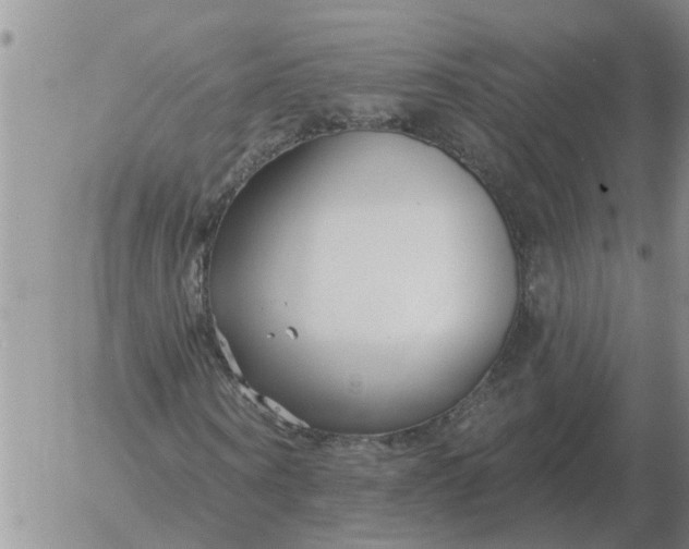 X0000055520866200509022121