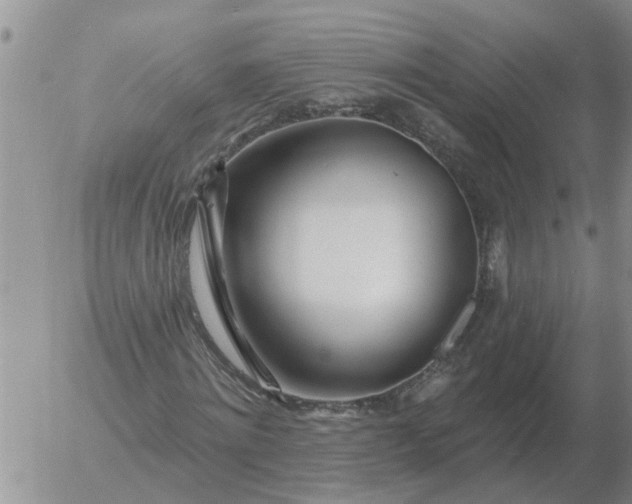 X0000055520868200509022121