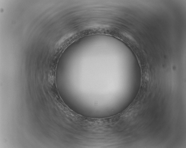 X0000055520869200509022121