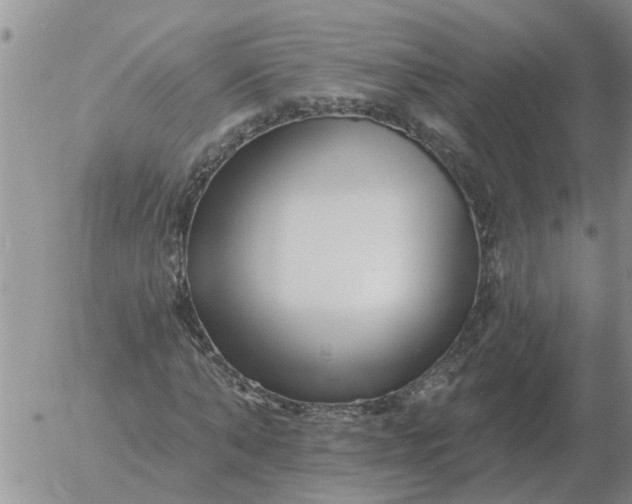 X0000055520870200509022121