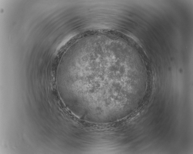 X0000055520871200509022121