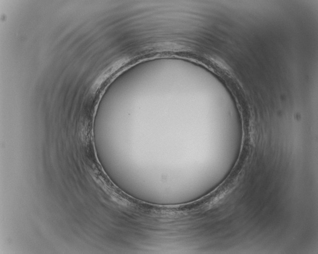 X0000055520873200509022121