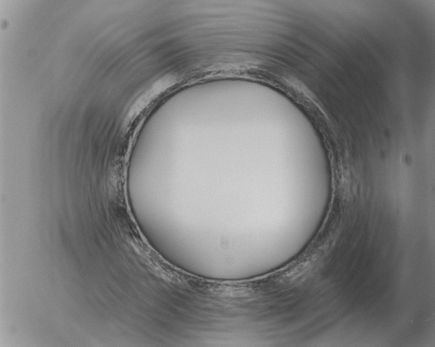 X0000055520874200509022121