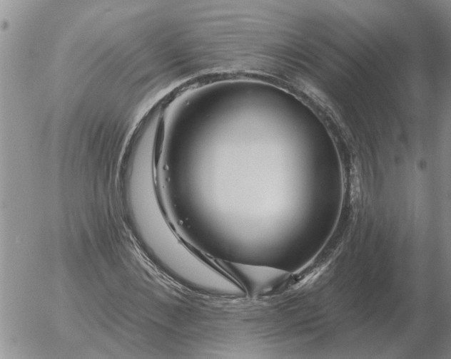 X0000055520876200509022121