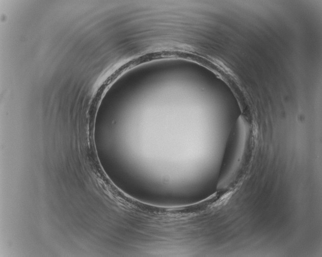 X0000055520877200509022121