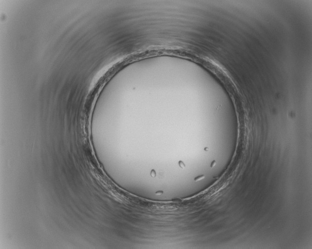 X0000055520878200509022121