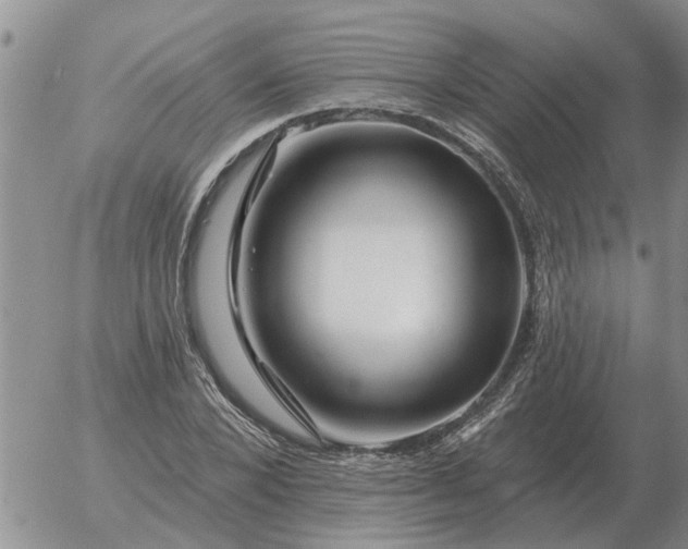 X0000055520880200509022121