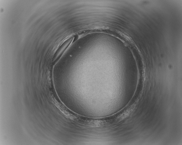 X0000055520881200509022121