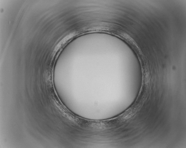 X0000055520882200509022121