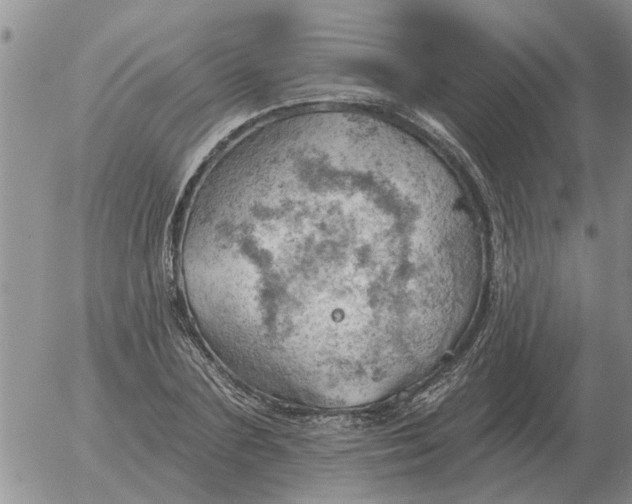 X0000055520883200509022121