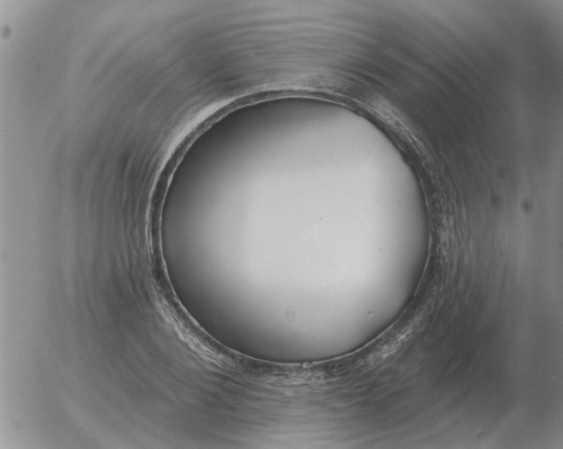 X0000055520884200509022121