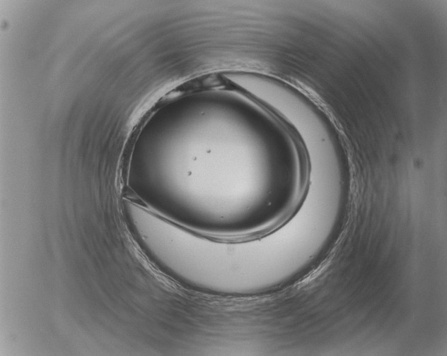 X0000055520885200509022121