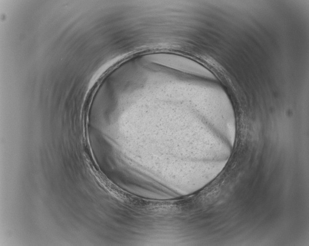 X0000055520886200509022121