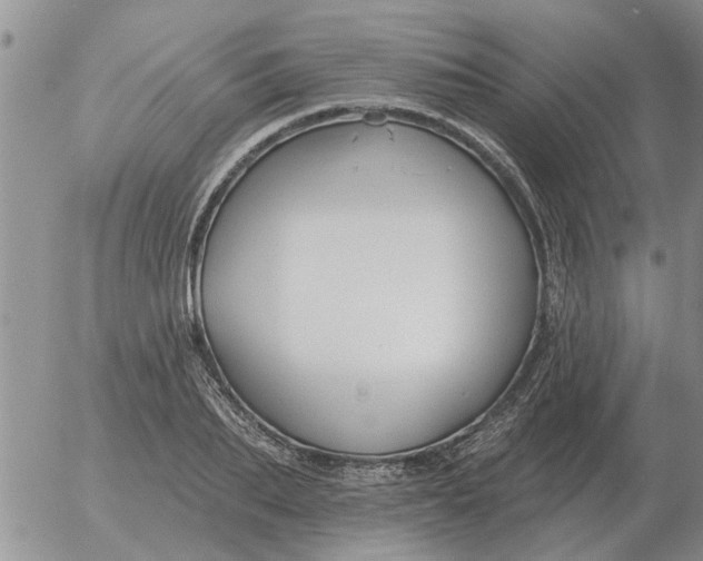 X0000055520887200509022121