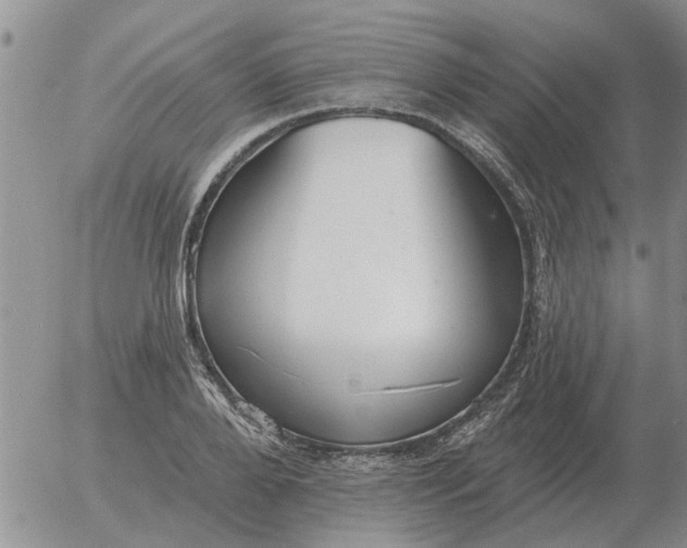 X0000055520888200509022121