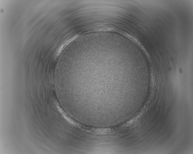 X0000055520889200509022121