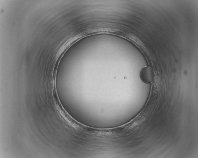 X0000055520890200509022121