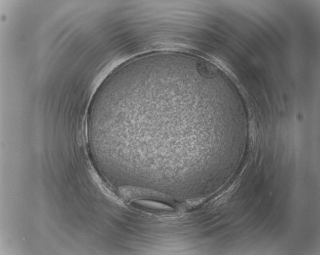 X0000055520891200509022121