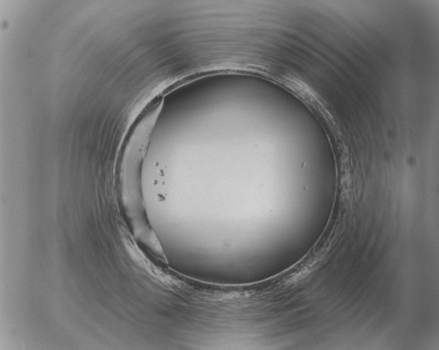 X0000055520892200509022121