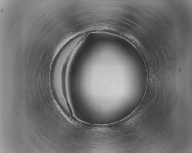 X0000055520894200509022121