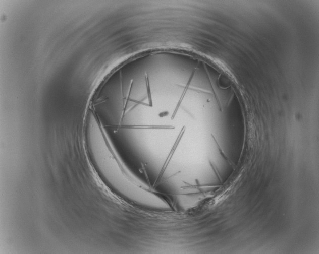 X0000055520895200509022121