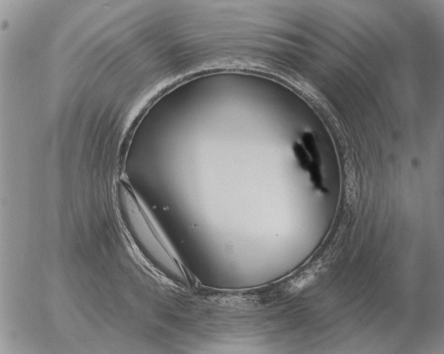 X0000055520896200509022121