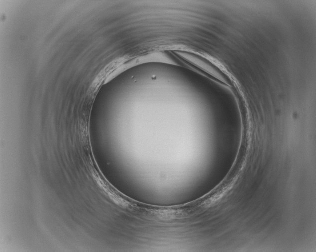 X0000055520897200509022121