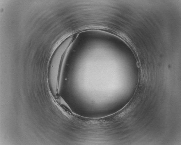 X0000055520898200509022121