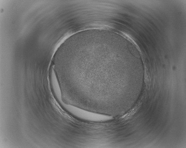 X0000055520899200509022121