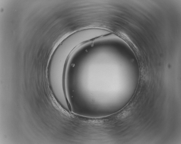 X0000055520900200509022120