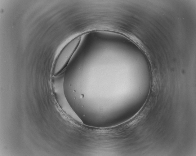 X0000055520904200509022120