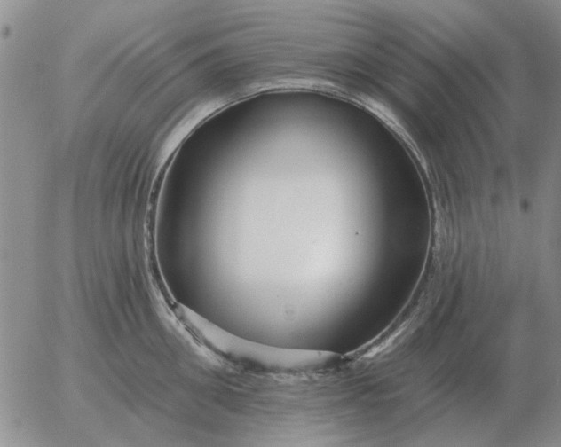 X0000055520906200509022120