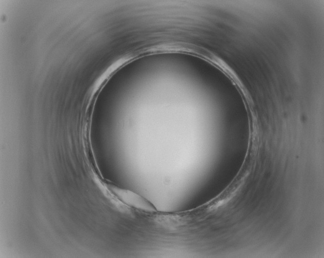 X0000055520909200509022120