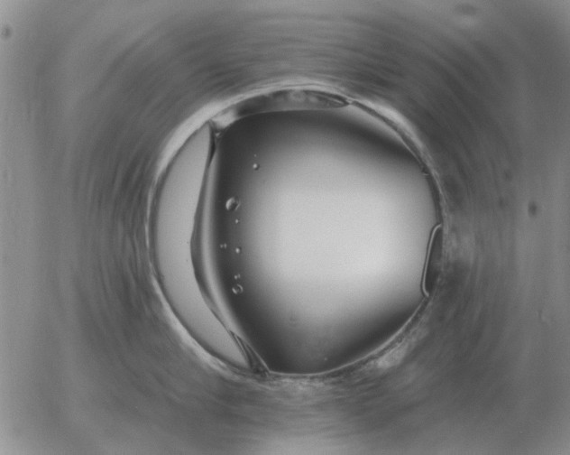 X0000055520910200509022120